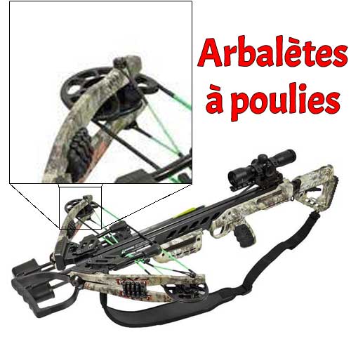 Arbalète à poulies