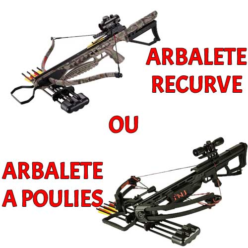 arbalète recurve ou arbalète à poulies