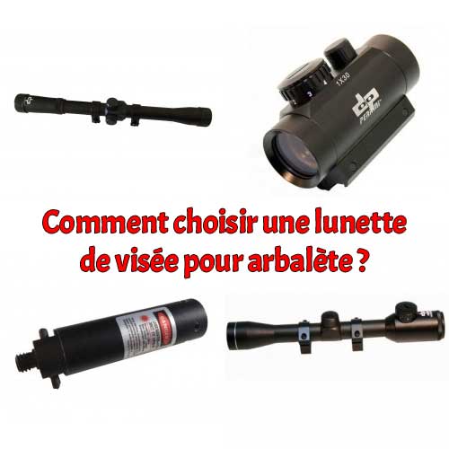 arbalète recurve ou arbalète à poulies