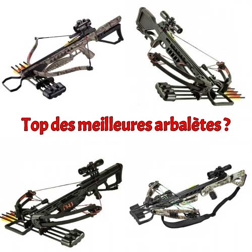 arbalète recurve ou arbalète à poulies